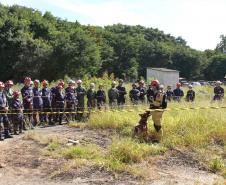 Treinamento reforça papel estratégico dos cães dos Bombeiros em resgates
