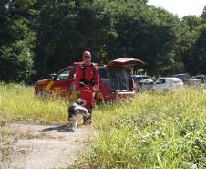 Treinamento reforça papel estratégico dos cães dos Bombeiros em resgates