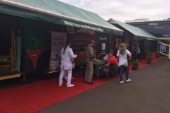 4ºGB Realiza atividade preventiva