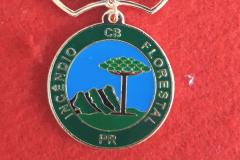 Entrega de Medalha de Mérito de “Operações em Incêndios Florestais” 2 CRBM