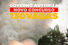Concurso 130 vagas