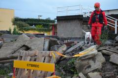 Cão de busca do GOST recebe certificação nacional