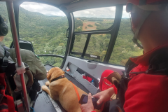 Equipe de busca localiza homem de 62 anos perdido no Morro do Araçatuba.