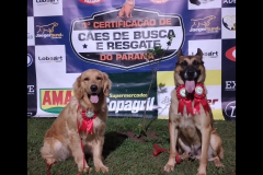 1ª Certificação Nacional de Cães de Busca e Resgate, em Cianorte. Maio de 2024.