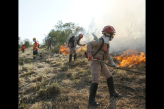 Corpo de Bombeiros Militar do Paraná em ação.
