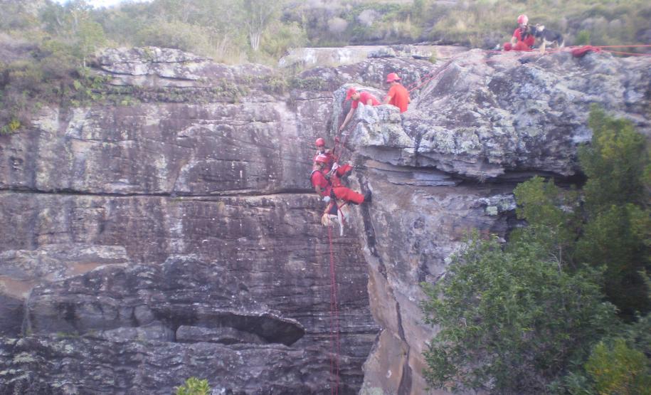 Rapel com os cães