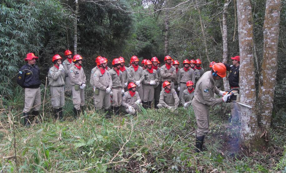 Instrução de Combate à Incêndio Florestal é realizada no CFSD