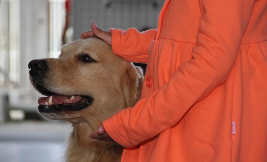 Crianças Visitam GOST