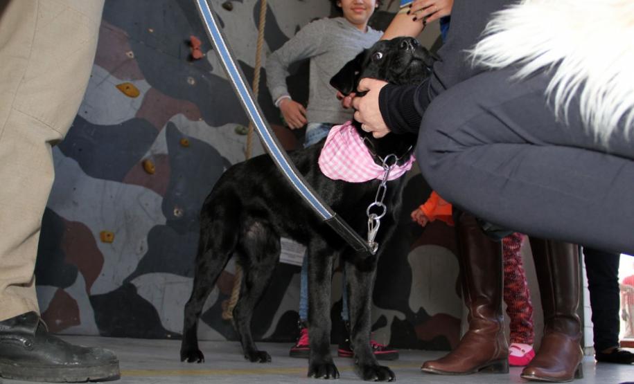 Crianças Visitam GOST