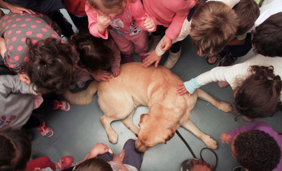 Polícia no CMEI (Centro Municipal de Educação Infantil) Xapinhal, em Curitiba.