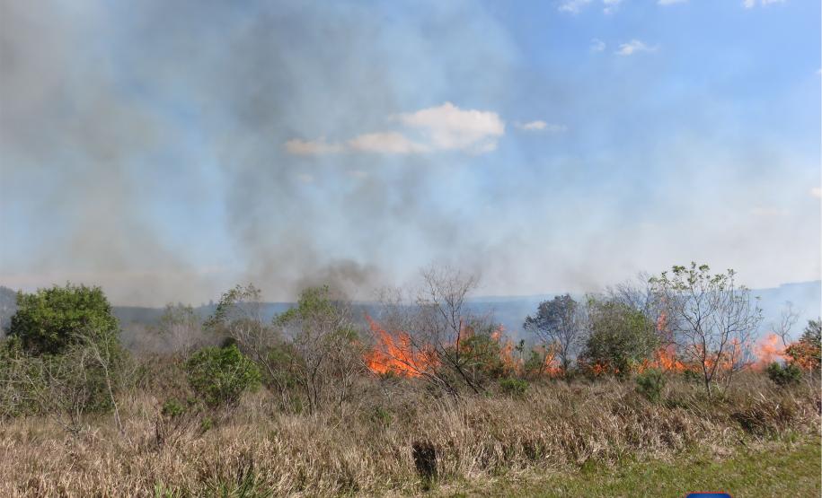 Clima aumenta riscos de incêndios florestais
