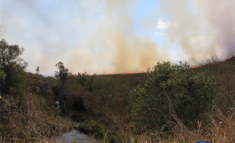Clima aumenta riscos de incêndios florestais