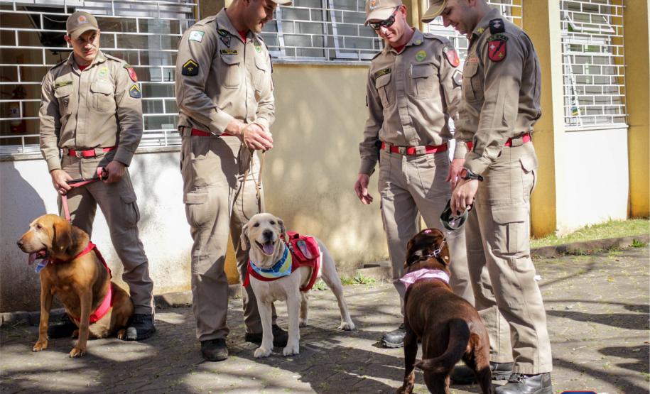 Bombeiros e Cães do GOST visitam crianças em hospital de Curitiba
