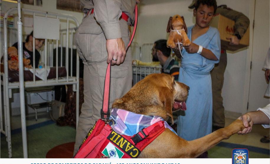 Bombeiros e Cães do GOST visitam crianças em hospital de Curitiba