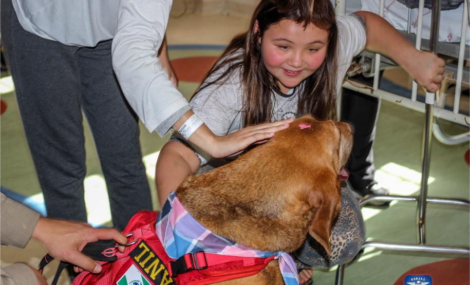 Bombeiros e Cães do GOST visitam crianças em hospital de Curitiba