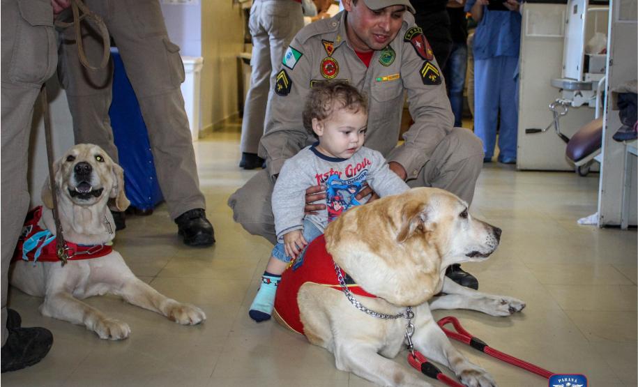 Bombeiros e Cães do GOST visitam crianças em hospital de Curitiba