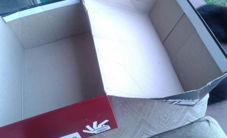 Socorristas do 1º Grupamento de Bombeiros Atendem Recém Nascido Encontrado em Caixa de Sapatos