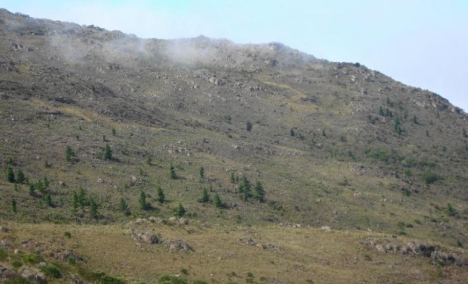Vítima é encontrada no Morro Araçatuba