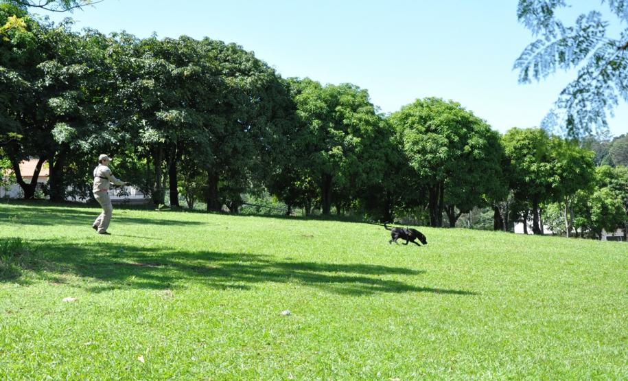 Instrução com Cães de Busca e Resgate - 11º GB