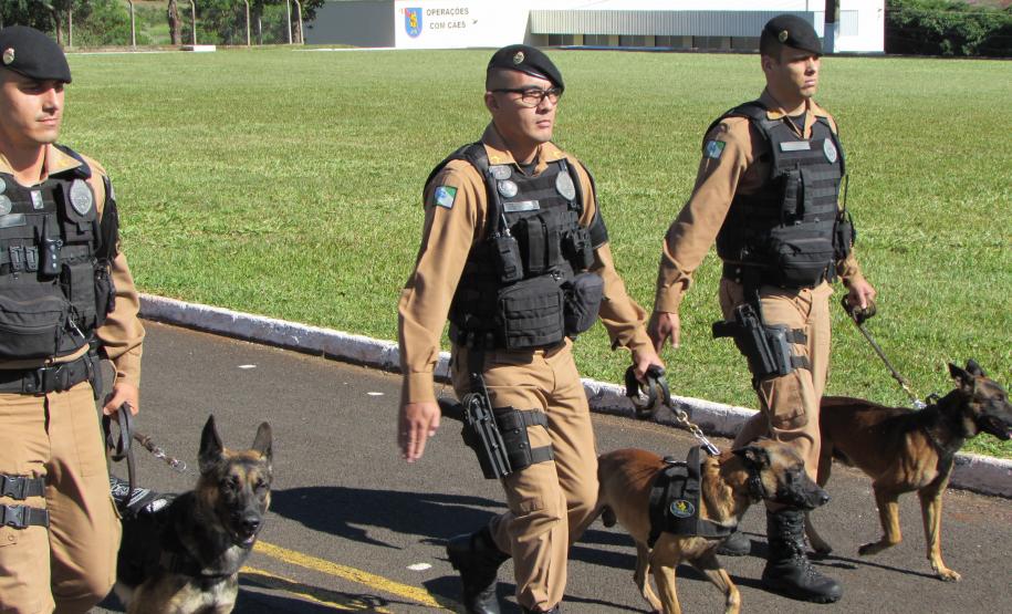 Solenidade alusiva ao Patrono da PMPR.