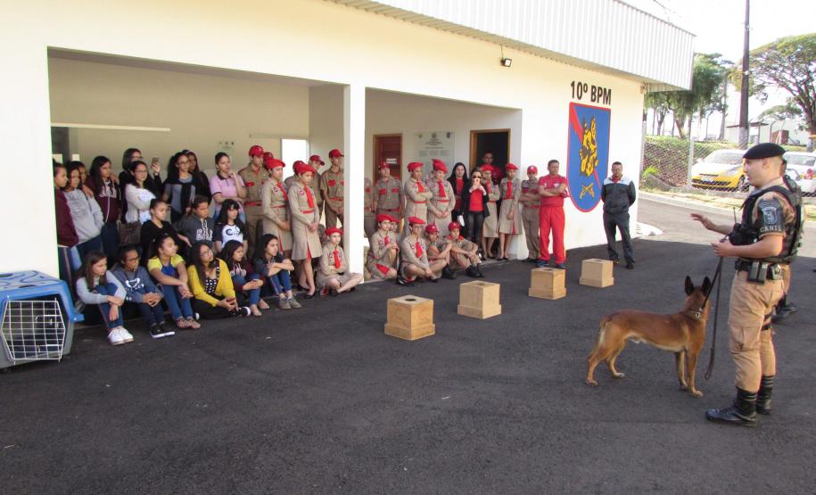 Aniversário PMPR - Apucarana.
