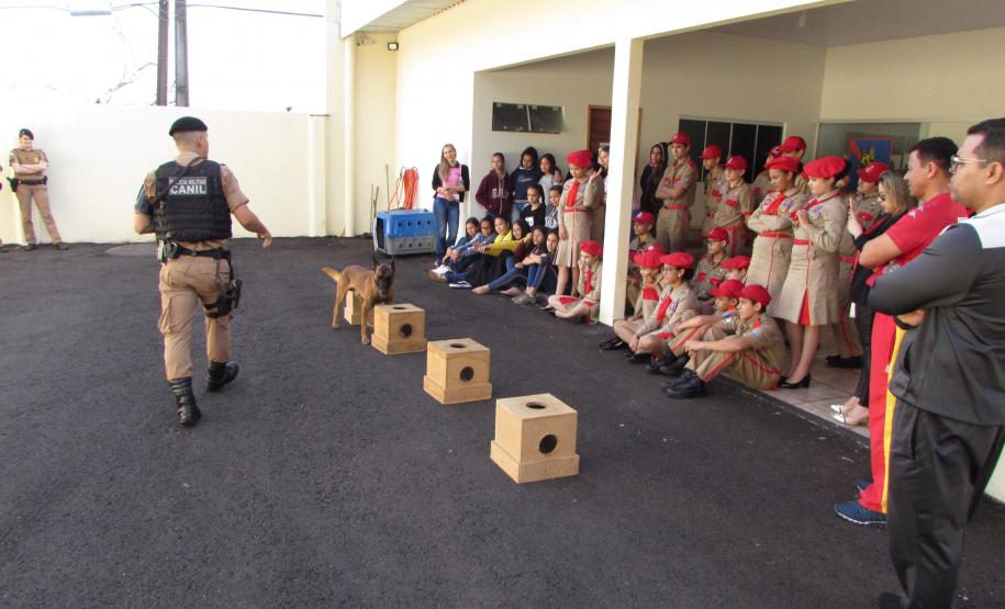Aniversário PMPR - Apucarana.