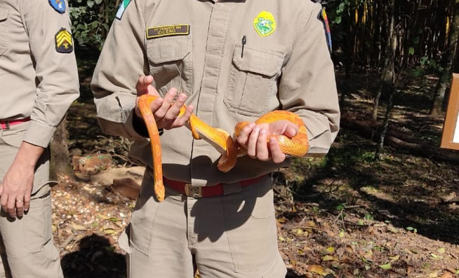 CSBM 21 - POLO 3º CRBM