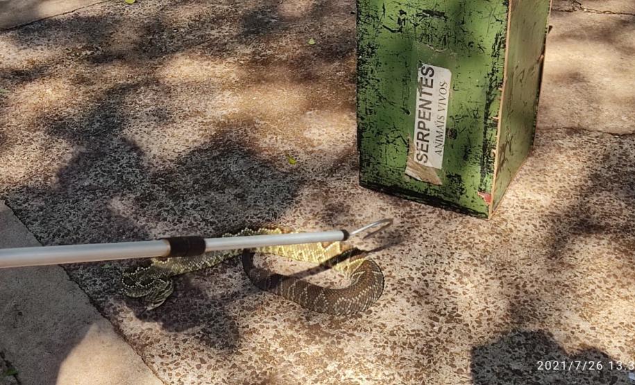 CSBM 21 - POLO 3º CRBM