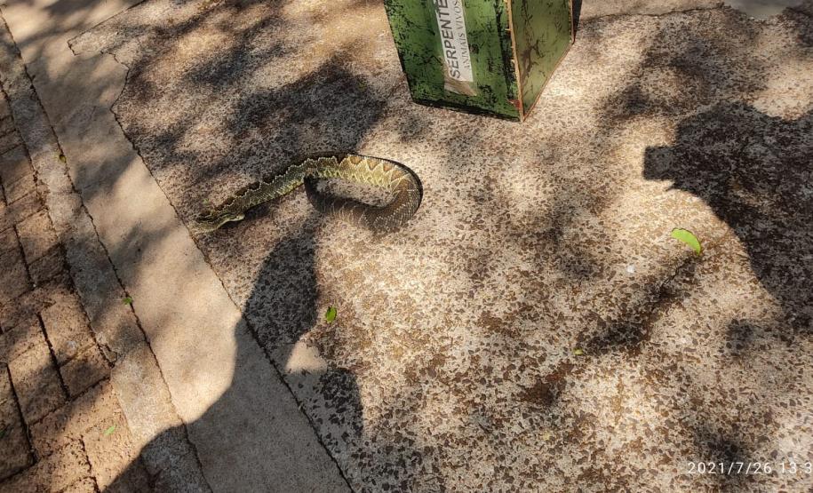 CSBM 21 - POLO 3º CRBM