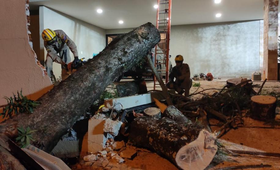 Defesa Civil em Ação