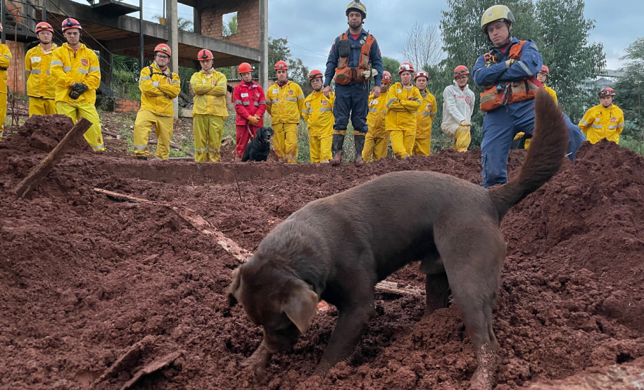 cursos em outros CBMs