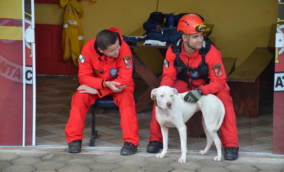 Cão de busca do GOST recebe certificação nacional