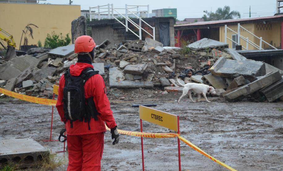 Cão de busca do GOST recebe certificação nacional