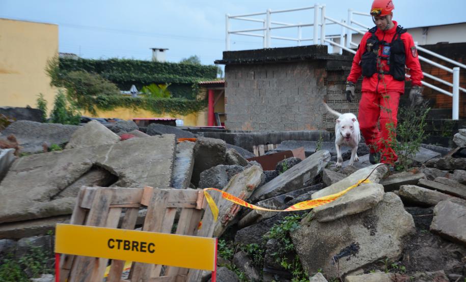 Cão de busca do GOST recebe certificação nacional