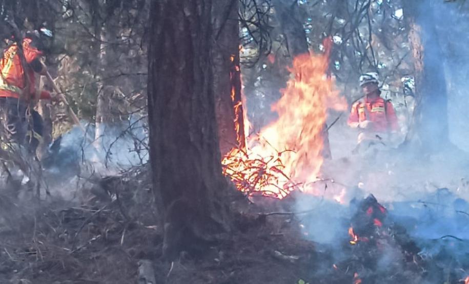 Missão internacional em ação no Canadá