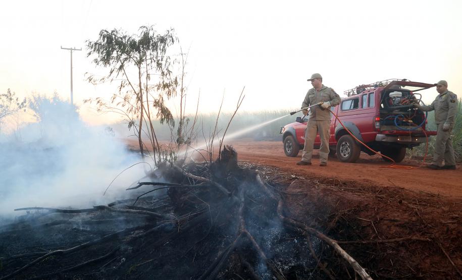 Bombeiros apagam incêndio em vegetação, situação que teve muitas ocorrências em 2023.