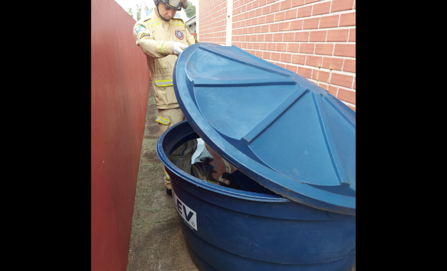 Corpo de Bombeiros Militar do Paraná participa de mutirão contra a dengue no estado, entre 16 e 21 de março de 2024.