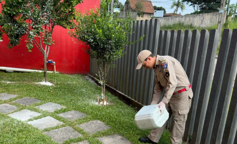 Corpo de Bombeiros Militar do Paraná participa de mutirão contra a dengue no estado, entre 16 e 21 de março de 2024.