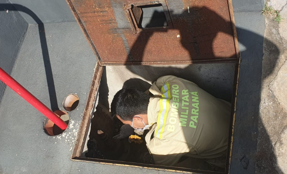 Corpo de Bombeiros Militar do Paraná participa de mutirão contra a dengue no estado, entre 16 e 21 de março de 2024.