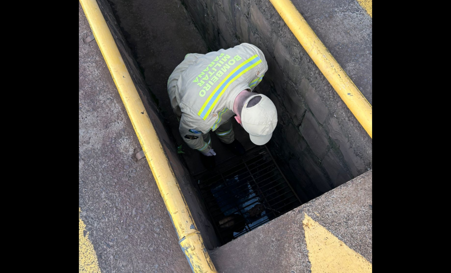 Corpo de Bombeiros Militar do Paraná participa de mutirão contra a dengue no estado, entre 16 e 21 de março de 2024.