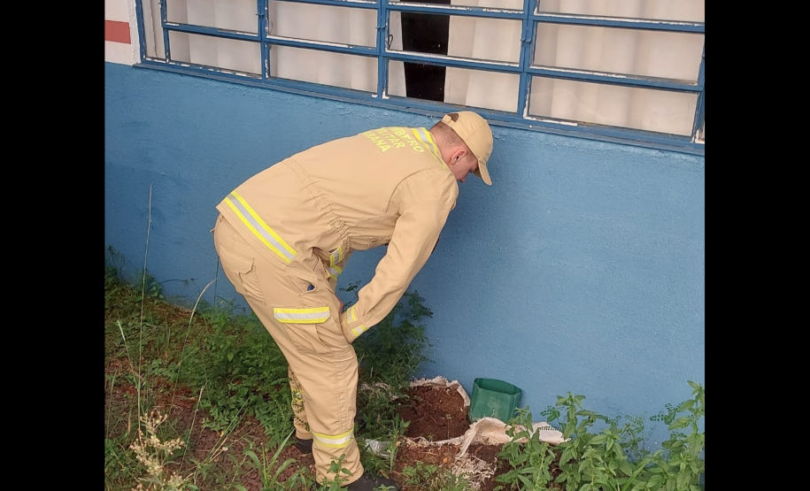 Corpo de Bombeiros Militar do Paraná participa de mutirão contra a dengue no estado, entre 16 e 21 de março de 2024.