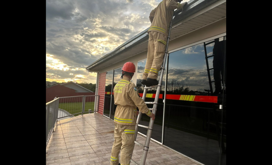 Corpo de Bombeiros Militar do Paraná participa de mutirão contra a dengue no estado, entre 16 e 21 de março de 2024.