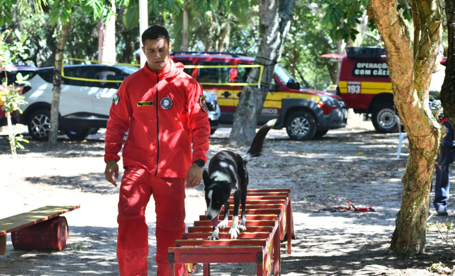 Certificação do Soldado Pereto como avaliador de cães de busca e resgate