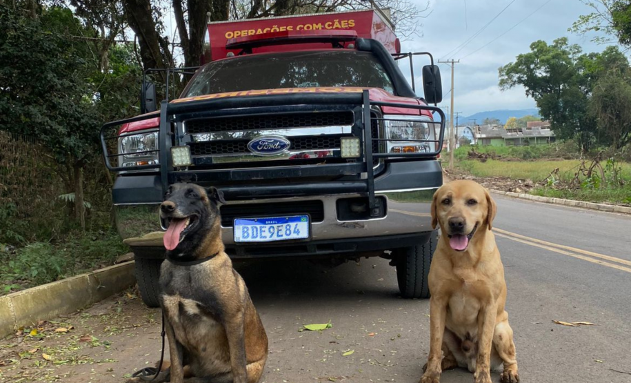 Paraná realiza 1ª Certificação Nacional de Cães de Busca e Resgate no estado, de 6 a 9 de maio de 2024.