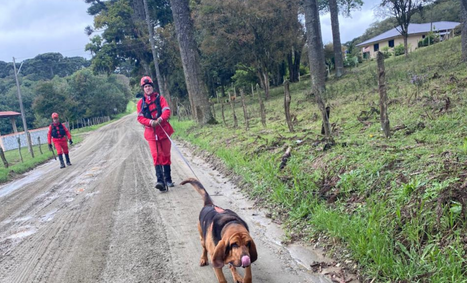 Paraná realiza 1ª Certificação Nacional de Cães de Busca e Resgate no estado, de 6 a 9 de maio de 2024.