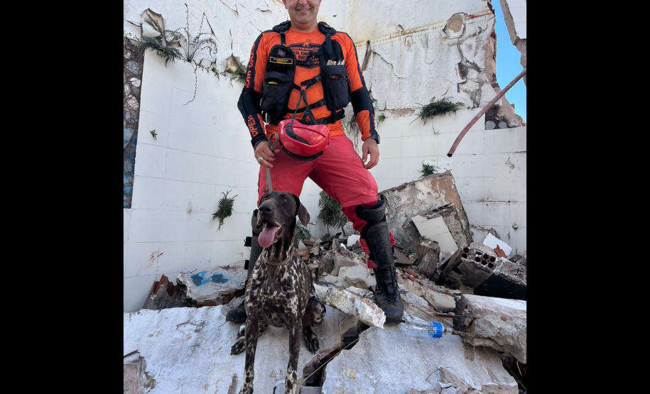 Cães de busca e resgate serão enviados pelo CBMPR para o RS.