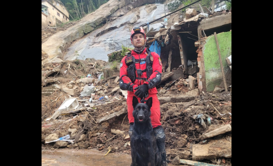 Cães de busca e resgate serão enviados pelo CBMPR para o RS.