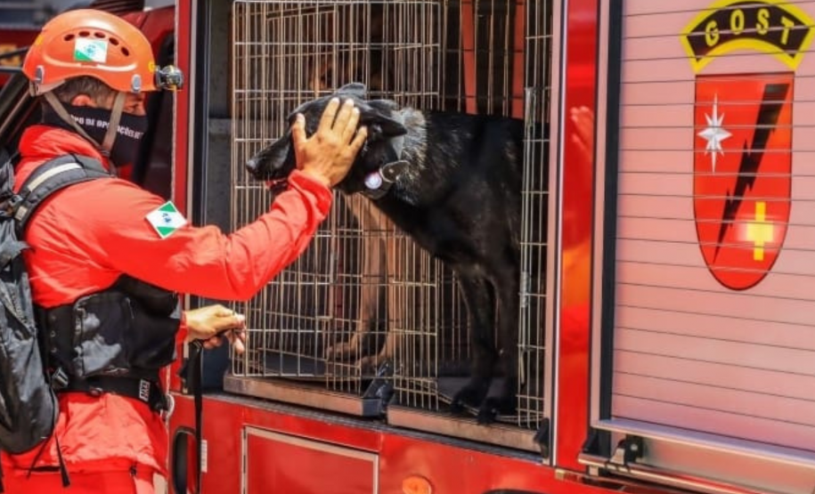 Cães de busca e resgate serão enviados pelo CBMPR para o RS.