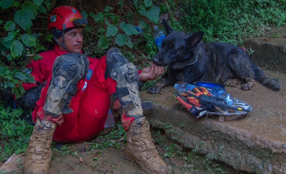 Cães de busca e resgate serão enviados pelo CBMPR para o RS.