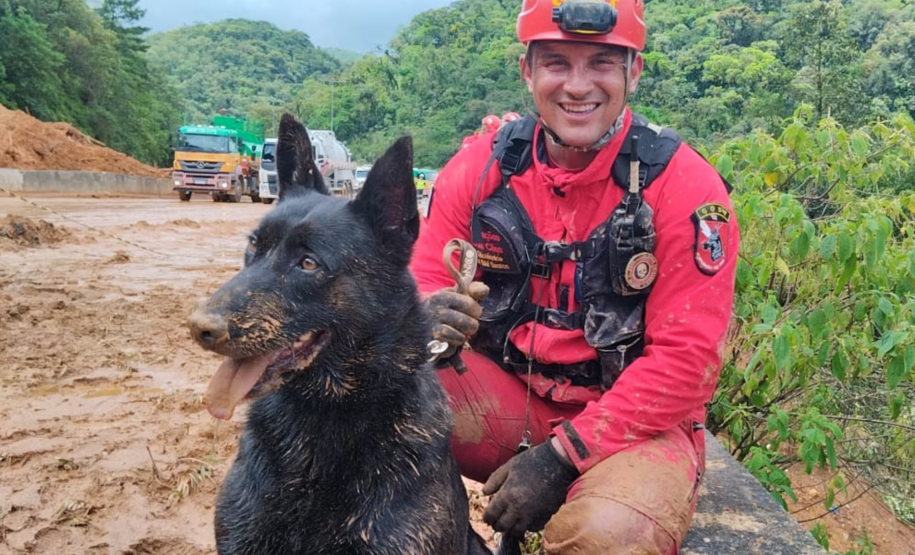 Cães de busca e resgate serão enviados pelo CBMPR para o RS.